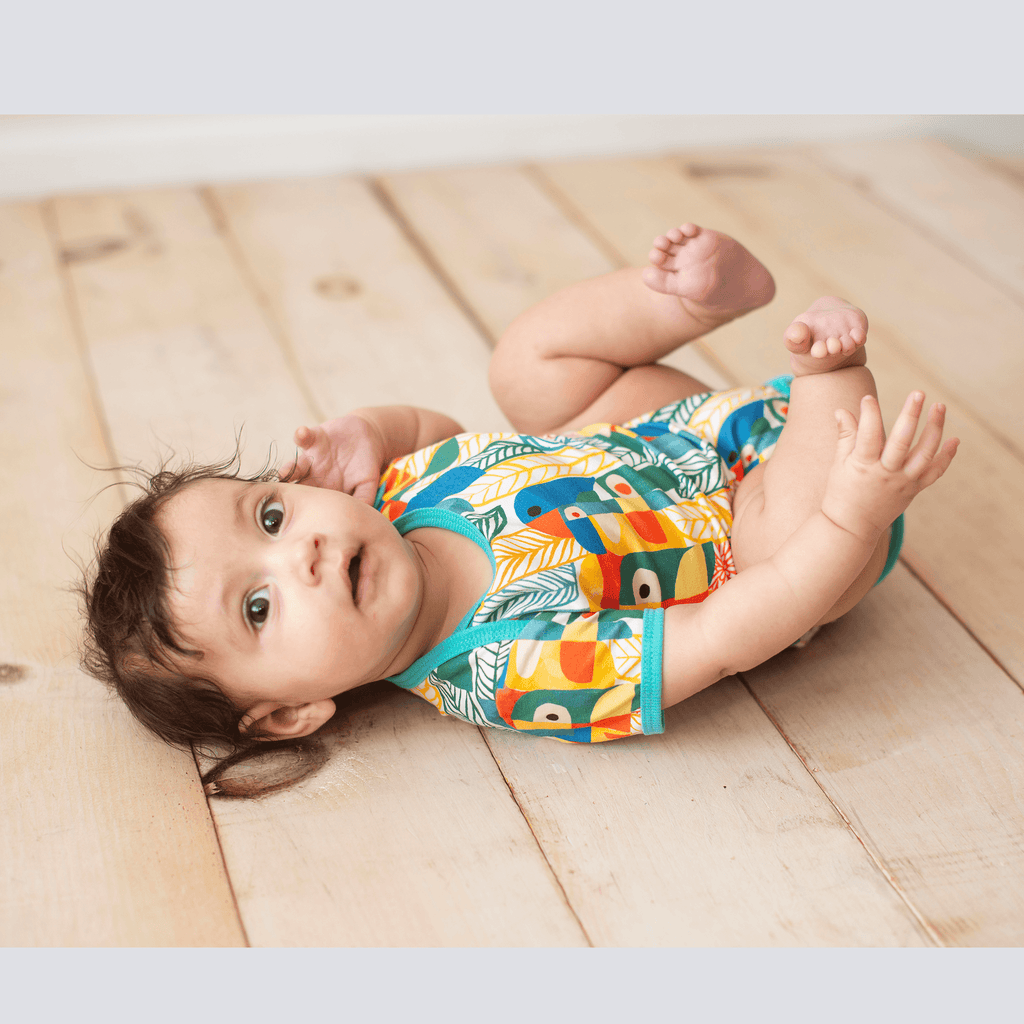 Wren baby body | Parrots