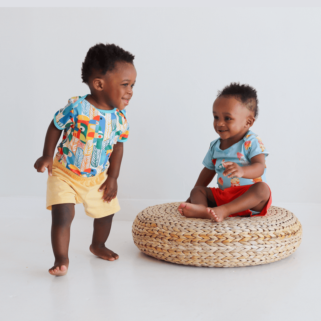 Wren baby body | Parrots