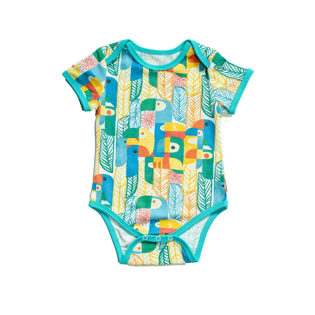 Wren baby body | Parrots